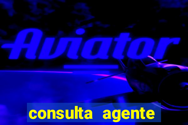 consulta agente autuador sp